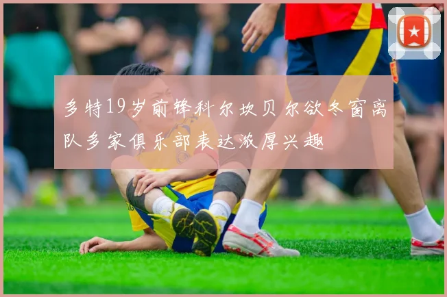 多特19岁前锋科尔坎贝尔欲冬窗离队多家俱乐部表达浓厚兴趣