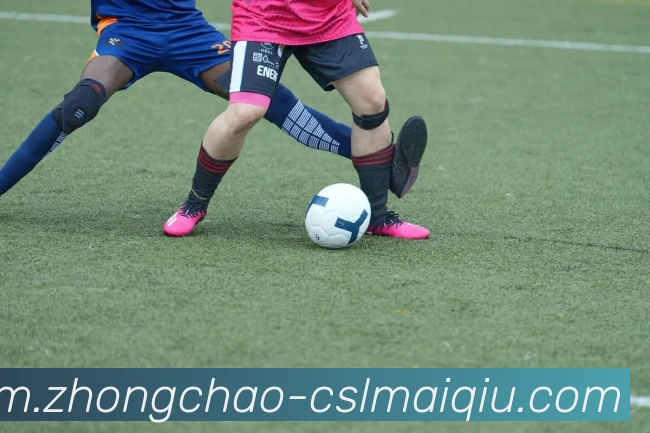 中超买球平台生态图